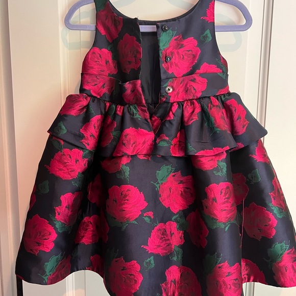 Janie and Jack Size 2 Navy and Deep Pink Rose Dress - Picture 2 of 4